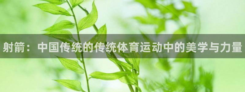 尊龙官网下载平台注册：射箭：中国传统的传统体育运动中