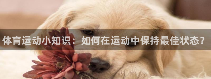 尊龙官方正版app娱乐是那个系列的台子：体育运动小知