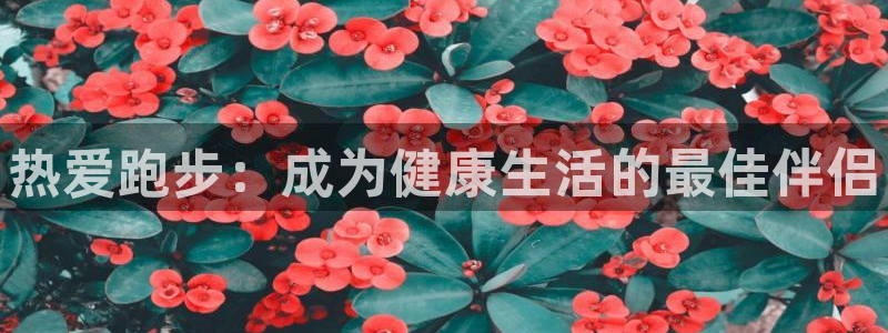 尊龙官网下载：热爱跑步：成为健康生活的最佳伴侣