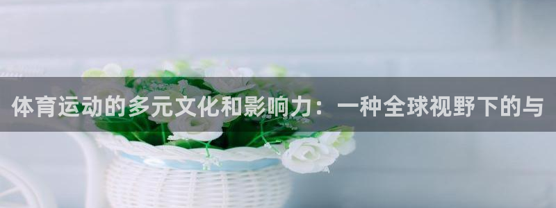 尊龙官方正版app新能源：体育运动的多元文化和影响力：一种全