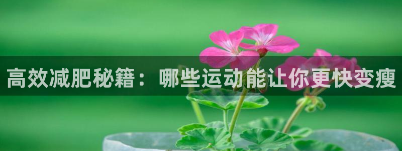 尊龙官网下载平台注册流程图：高效减肥秘籍：哪些运动能