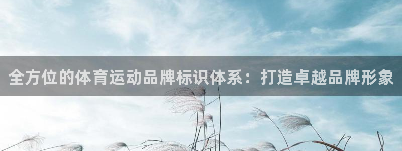 尊龙官方正版app代理：全方位的体育运动品牌标识体系：打造卓