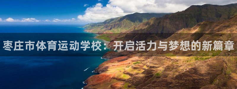 尊龙官网下载平台假的吗是真的吗：枣庄市体育运动学校：开启活力