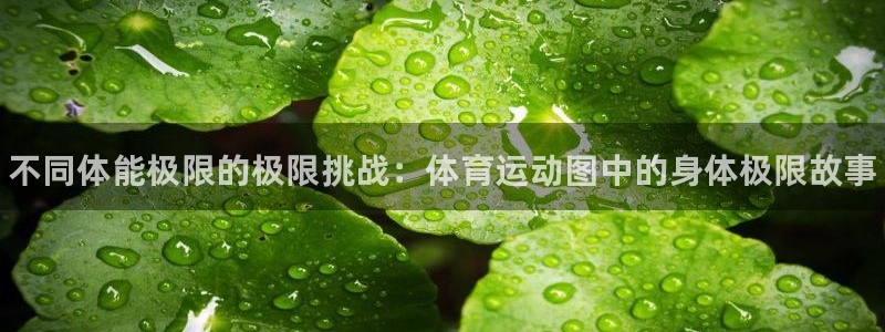 尊龙官网下载招商电话号码：不同体能极限的极限挑战：体育运动图