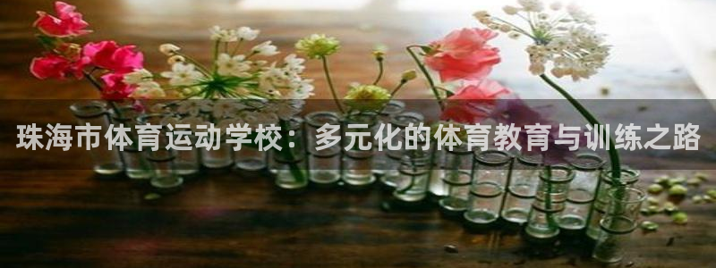尊龙官方正版app集团官网首页：珠海市体育运动学校：多元化的