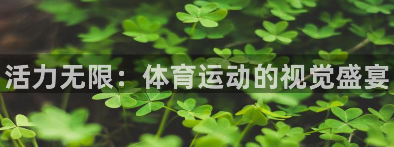 尊龙官网下载平台是正规平台吗安全吗：活力无限：体育运