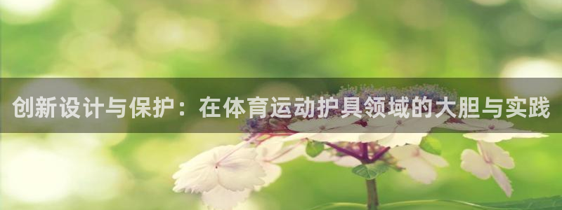 尊龙官方正版app娱乐40996：创新设计与保护：在