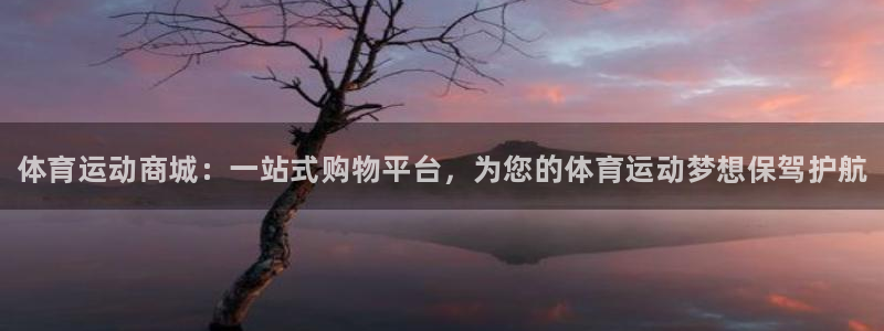 尊龙官网下载娱乐：体育运动商城：一站式购物平台，为您