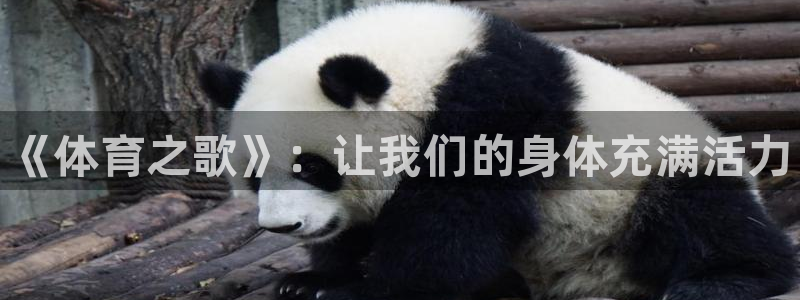 尊龙官方正版app娱乐下载：《体育之歌》：让我们的身