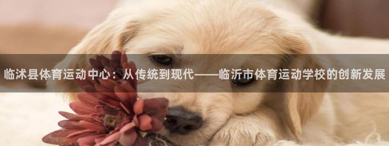 尊龙官方正版app开户：临沭县体育运动中心：从传统到