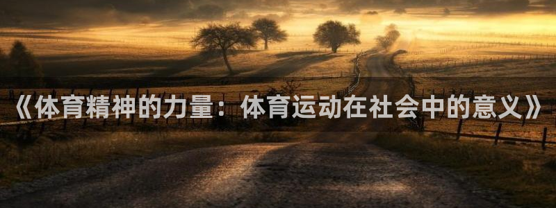 尊龙官网下载招商电话：《体育精神的力量：体育运动在社