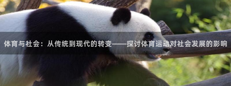 尊龙官方正版app代理：体育与社会：从传统到现代的转