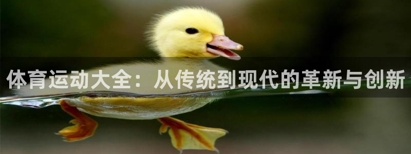 尊龙官方正版app娱乐平台：体育运动大全：从传统到现代的革新