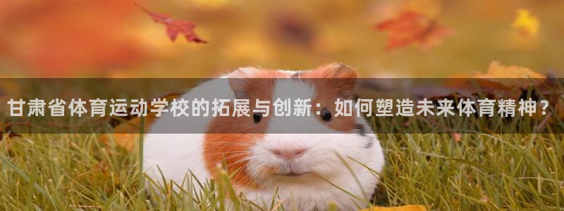尊龙官网下载平台注册：甘肃省体育运动学校的拓展与创新