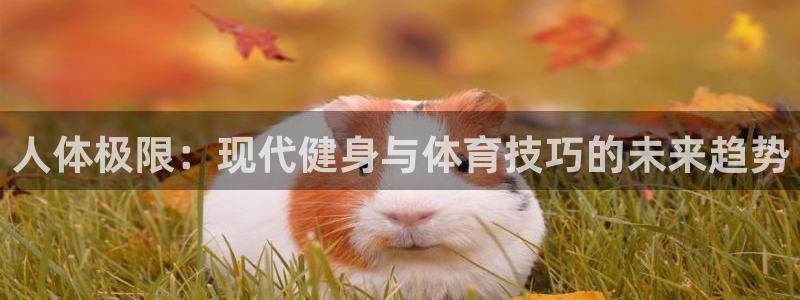 尊龙官网下载是干嘛的公司：人体极限：现代健身与体育技
