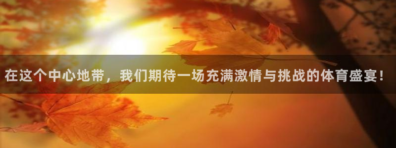 尊龙官网下载平台注册要钱吗是真的吗：在这个中心地带，