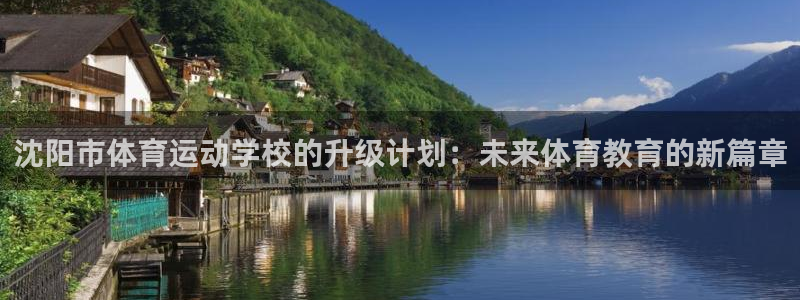 尊龙官网下载平台是正规平台吗：沈阳市体育运动学校的升级计划：
