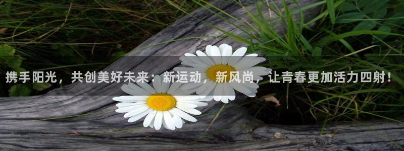 尊龙官网下载平台APP：携手阳光，共创美好未来：新运动，新风
