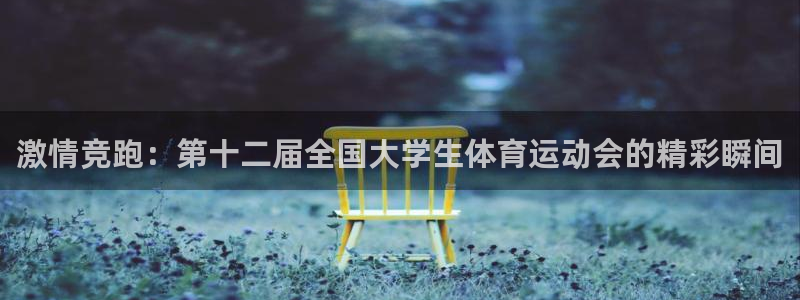 尊龙官网下载平台APP：激情竞跑：第十二届全国大学生体育运动