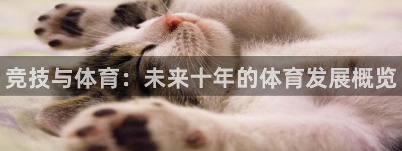 尊龙官方正版app集团：竞技与体育：未来十年的体育发
