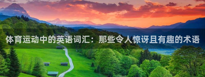 尊龙官方正版app娱乐平台：体育运动中的英语词汇：那