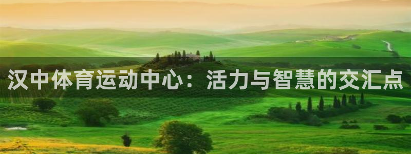 尊龙官网下载平台假的吗是真的吗吗：汉中体育运动中心：