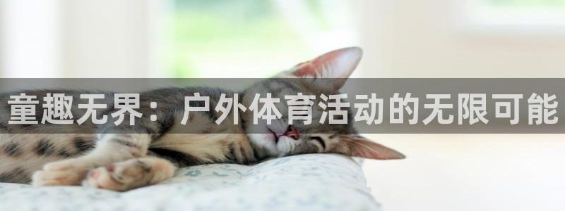 尊龙官网下载平台注册流程图：童趣无界：户外体育活动的无限可能