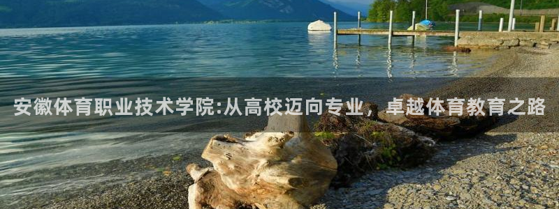 尊龙官方集团官网：安徽体育职业技术学院:从高校迈向专业，卓越