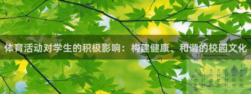 尊龙官方正版app娱乐是那个系列的台子：体育活动对学