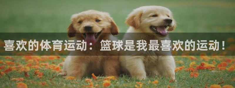 尊龙官方正版app代理：喜欢的体育运动：篮球是我最喜