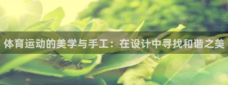 海南尊龙官网下载发展怎么样：体育运动的美学与手工：在