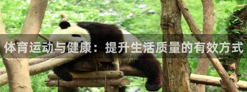 尊龙官方正版app集团：体育运动与健康：提升生活质量