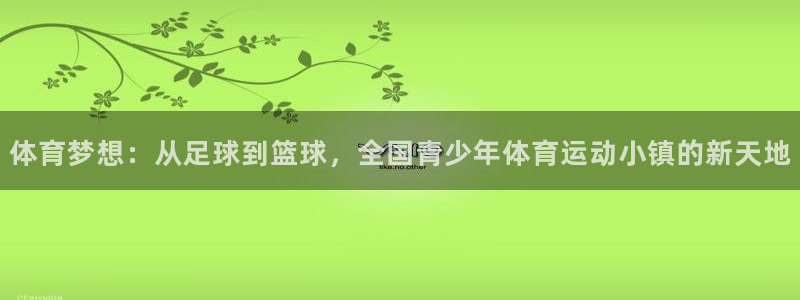 尊龙官网下载软件：体育梦想：从足球到篮球，全国青少年体育运动