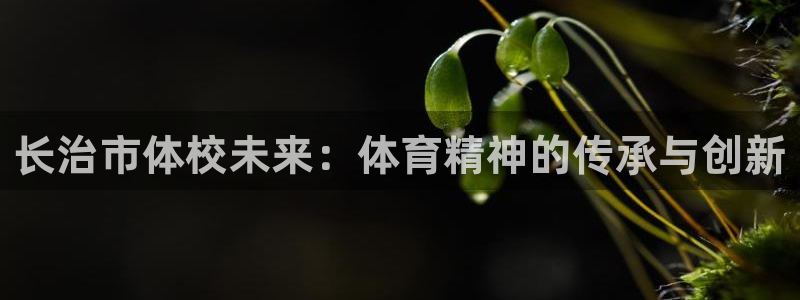 尊龙官网下载平台是正规平台吗：长治市体校未来：体育精神的传承