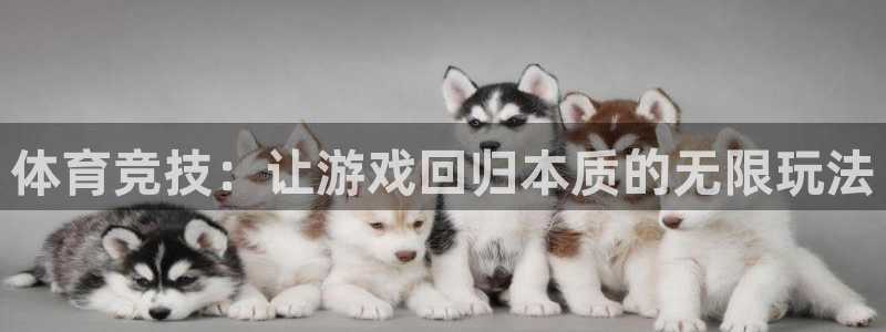 尊龙官方正版app新能源：体育竞技：让游戏回归本质的无限玩法