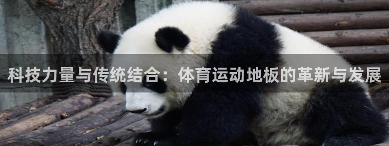 尊龙官网下载平台是正规平台吗：科技力量与传统结合：体