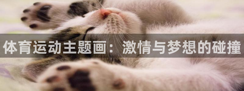 尊龙官网下载招商电话