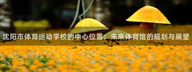 尊龙官网下载平台注册：沈阳市体育运动学校的中心位置：未来体育