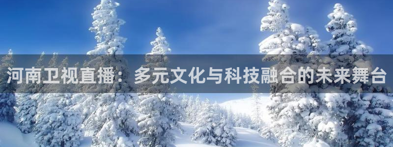 袋鼠直播体育在线观看