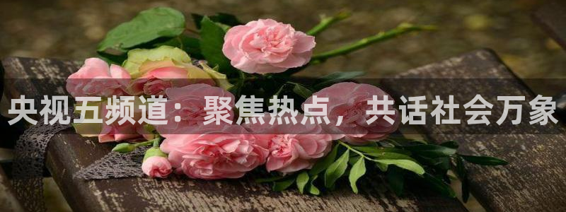 袋鼠直播nba免费观看足球
