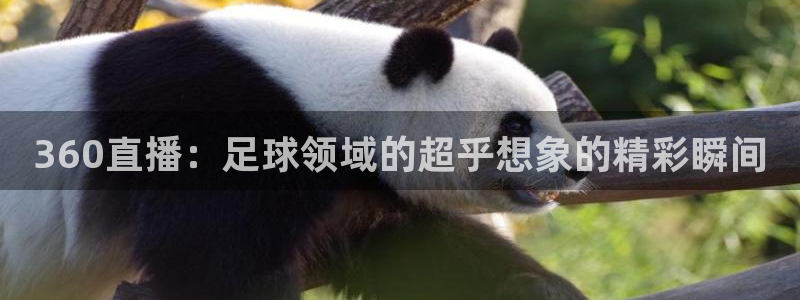 袋鼠体育足球直播：360直播：足球领域的超乎想象的精彩瞬间
