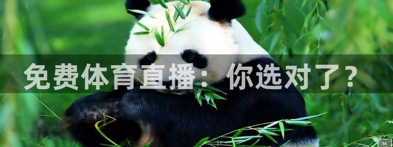 袋鼠直播体育在线：免费体育直播：你选对了？
