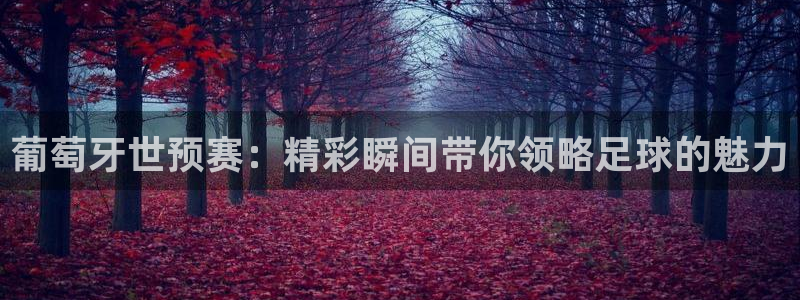 袋鼠直播在线播放：葡萄牙世预赛：精彩瞬间带你领略足球的魅力